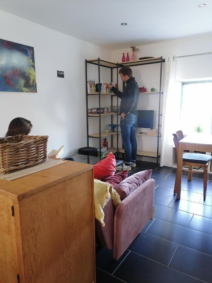Gite La Maison La Saint-Aubin-d'Aubigne Eksteriør billede